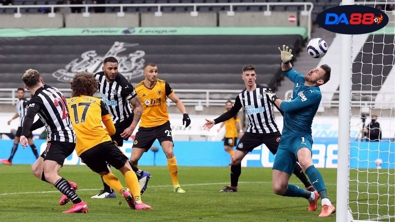 Soi kèo bóng đá Newcastle vs Wolves, 21h00 ngày 13/9, chích chòe thể hiện 5 Thông tin lực lượng Newcastle vs Wolves mới nhất